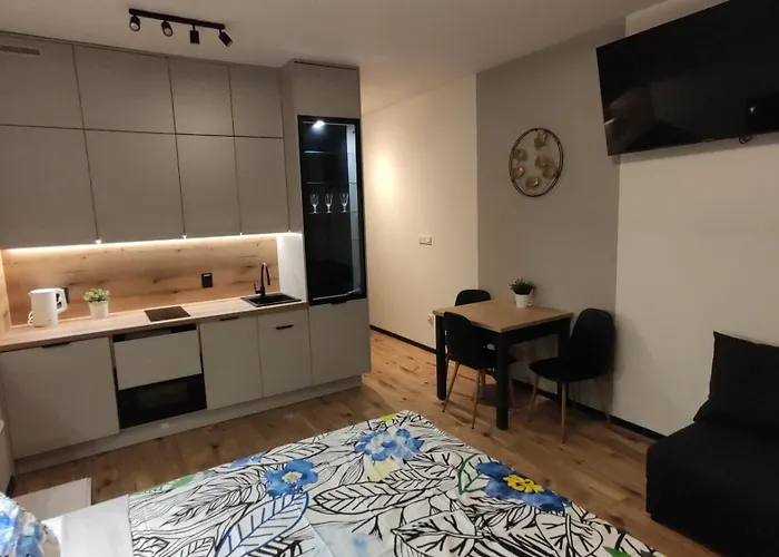 One-room Nyska Free Garage!!! דירה ורוצלב