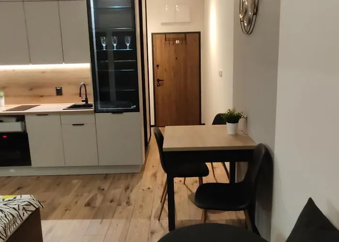 One-room Nyska Free Garage!!! ורוצלב