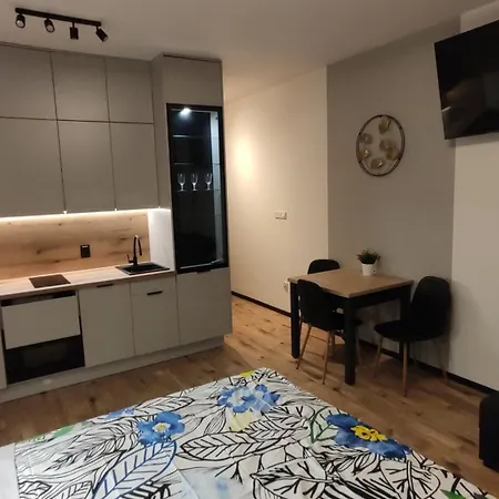 One-room Nyska Free Garage!!! 公寓 弗罗茨瓦夫