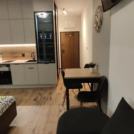 One-room Nyska Free Garage!!! 弗罗茨瓦夫